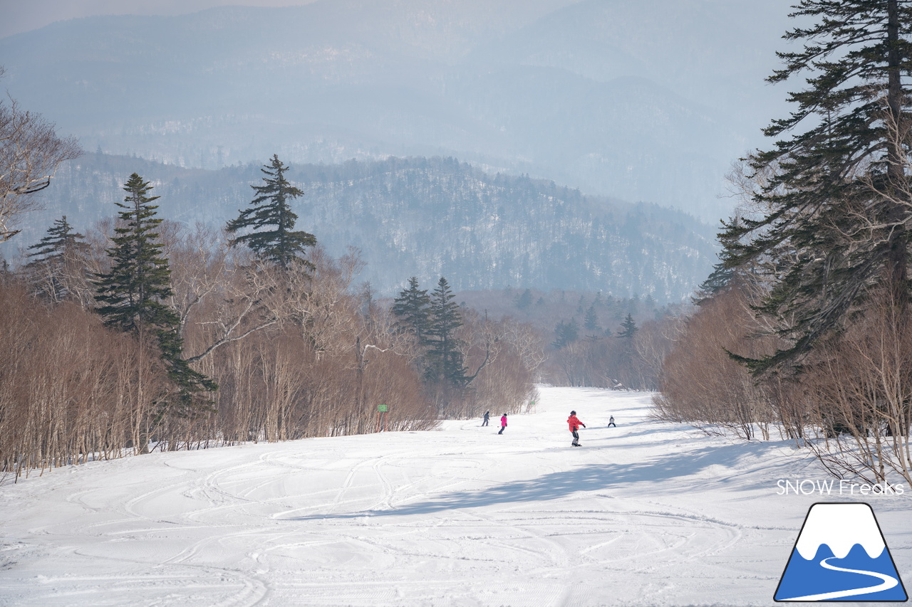札幌国際スキー場｜さすが『KOKUSAI』！春シーズンも安泰の豊富な積雪で、まだまだ余裕で全面滑走可能です(^^)v